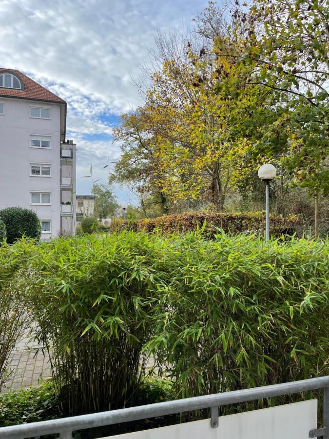 Apartment Rot-Kreuz Bad Säckingen Екстериор снимка